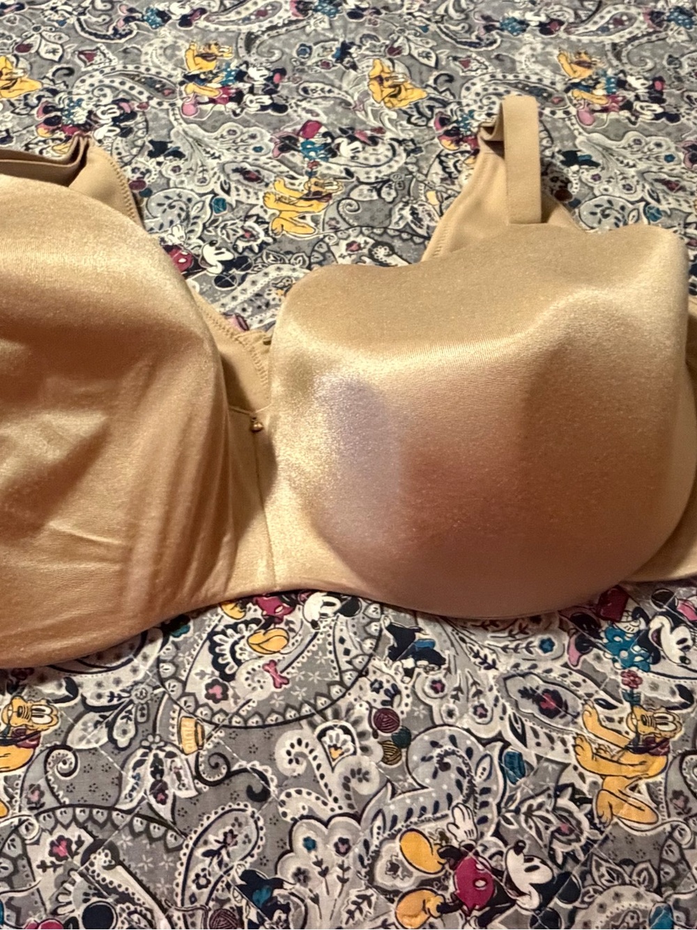 Cacique/Lane Bryant Backsmoother Bra